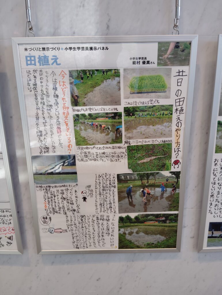小学生学芸員体験教室展示コーナー