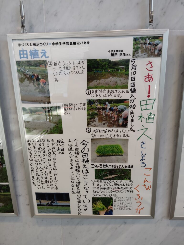 小学生学芸員体験教室展示コーナー