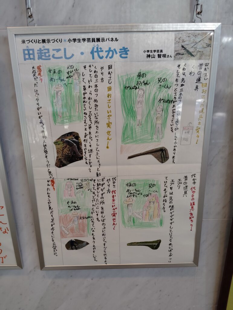 小学生学芸員体験教室展示コーナー