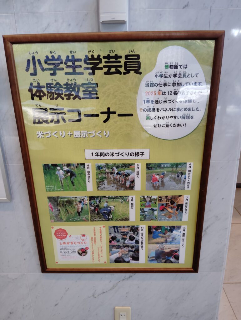 小学生学芸員体験教室展示コーナー
