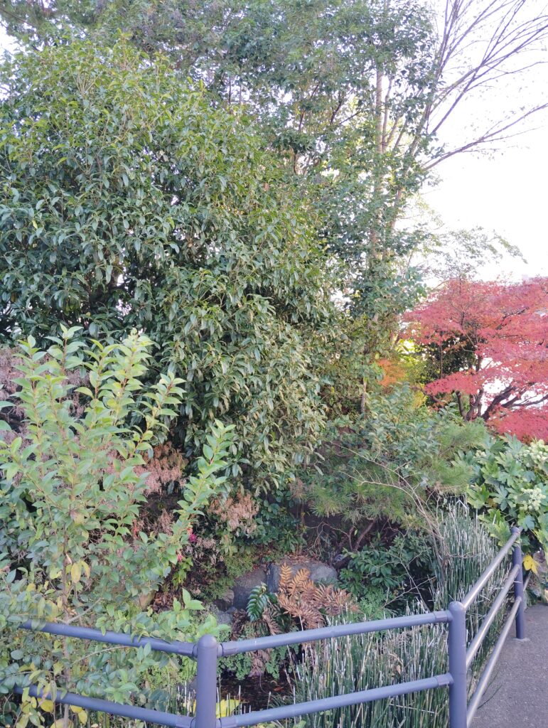 竹ヶ花雷電湧水（松戸市竹ヶ花）