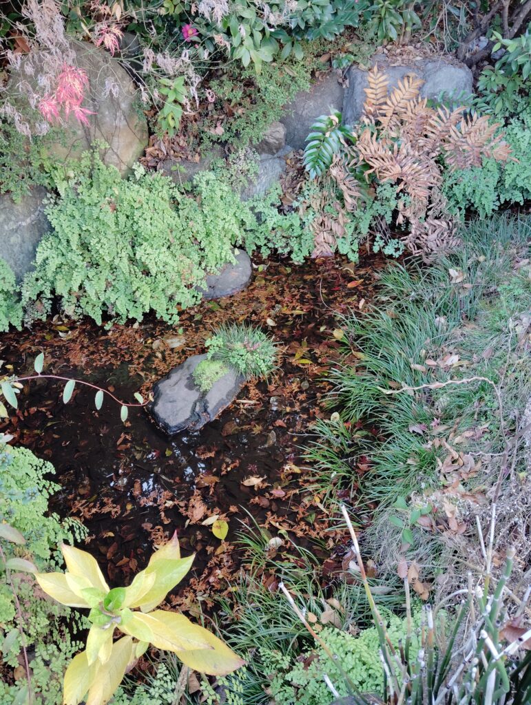 竹ヶ花雷電湧水（松戸市竹ヶ花）