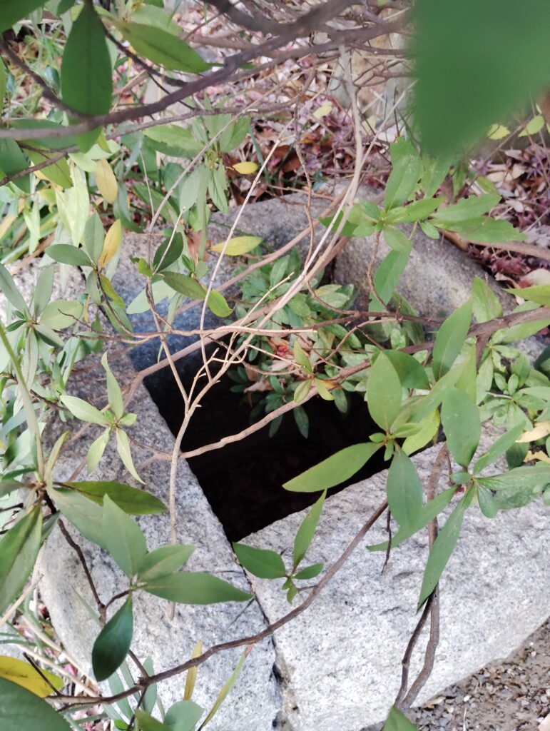 竹ヶ花雷電湧水（松戸市竹ヶ花）