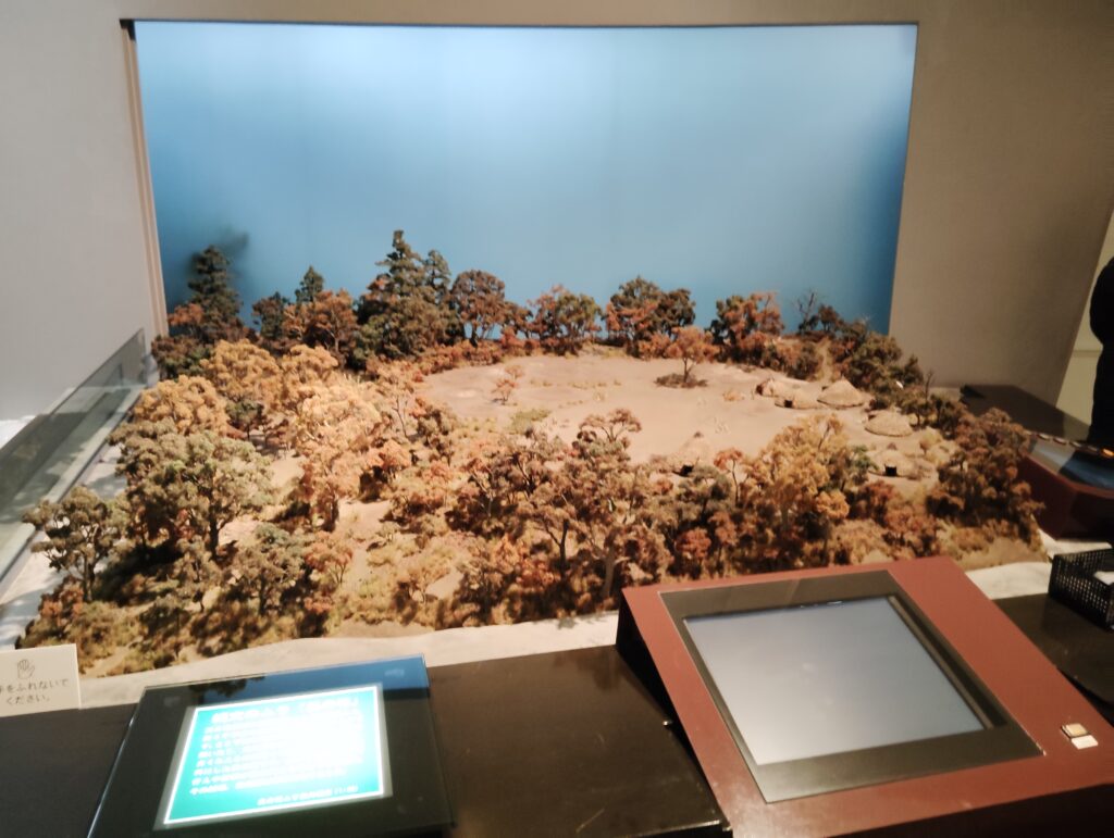 縄文のムラ「貝の花」