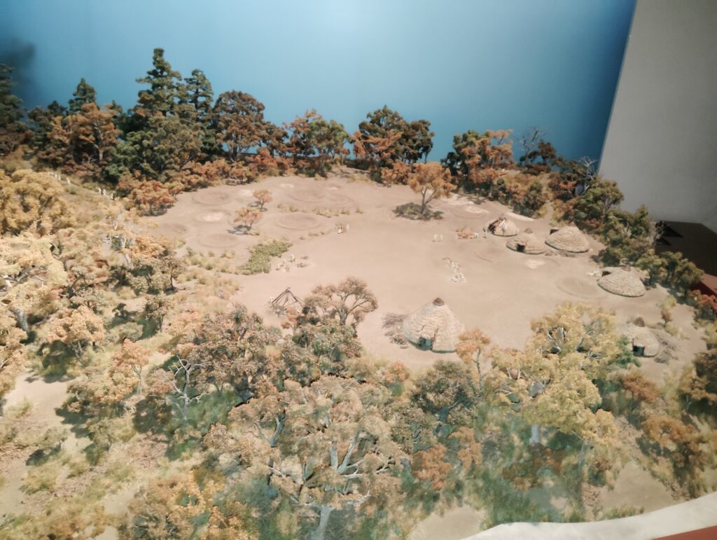 縄文のムラ「貝の花」