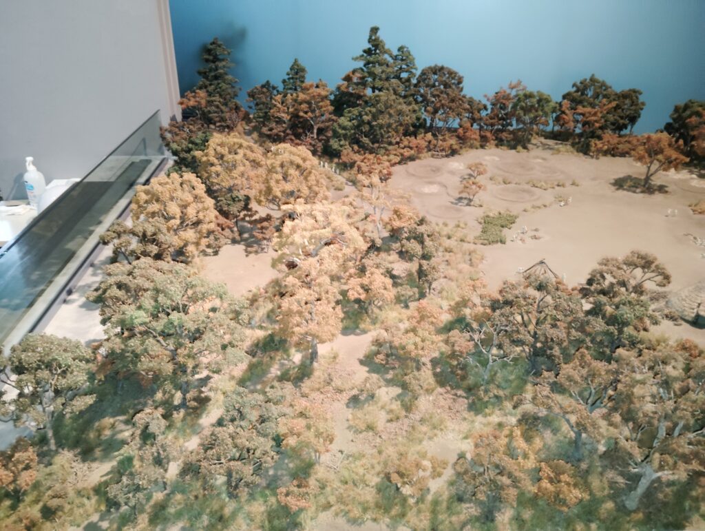 縄文のムラ「貝の花」