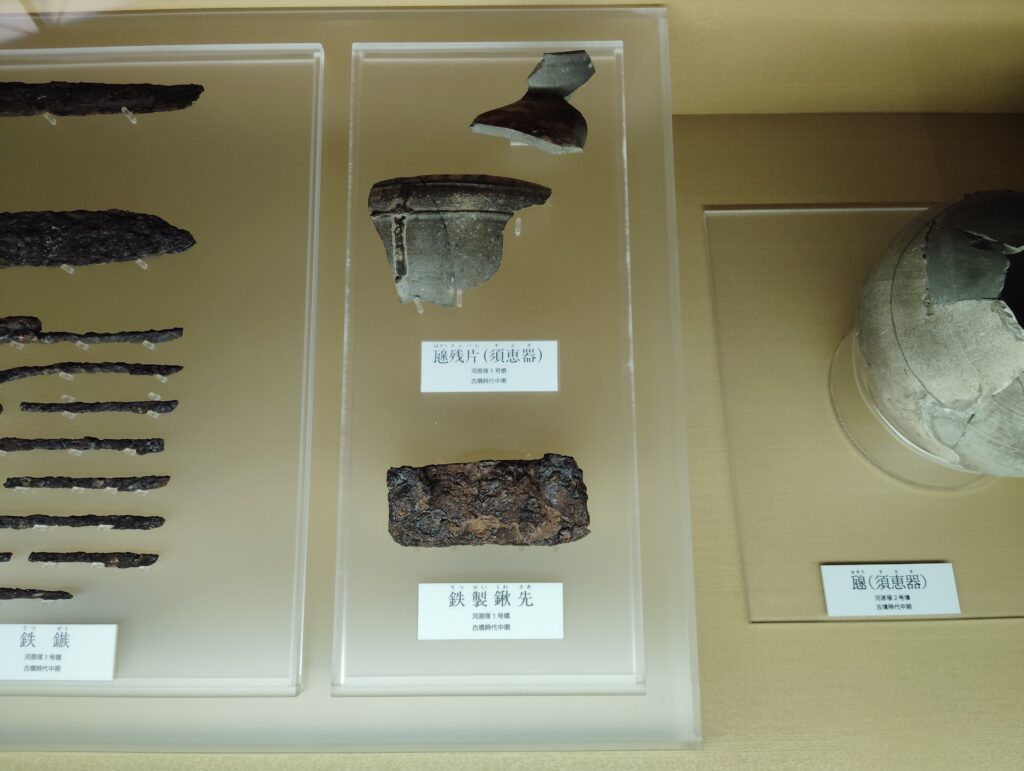 古代の松戸
松戸市立博物館　常設展示