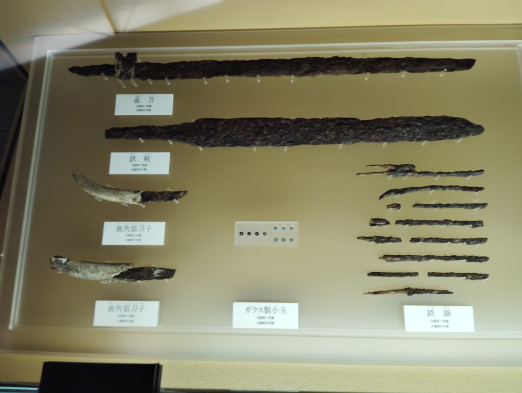 古代の松戸
松戸市立博物館　常設展示