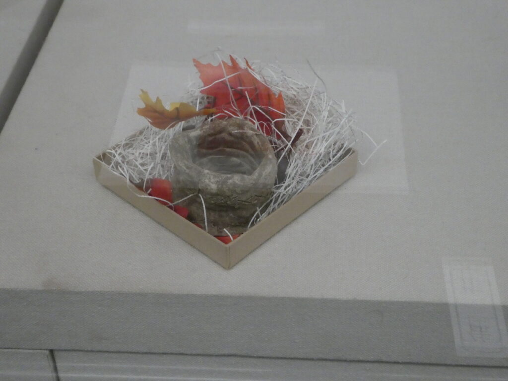 第10回博物館アワード作品展　自由研究部門