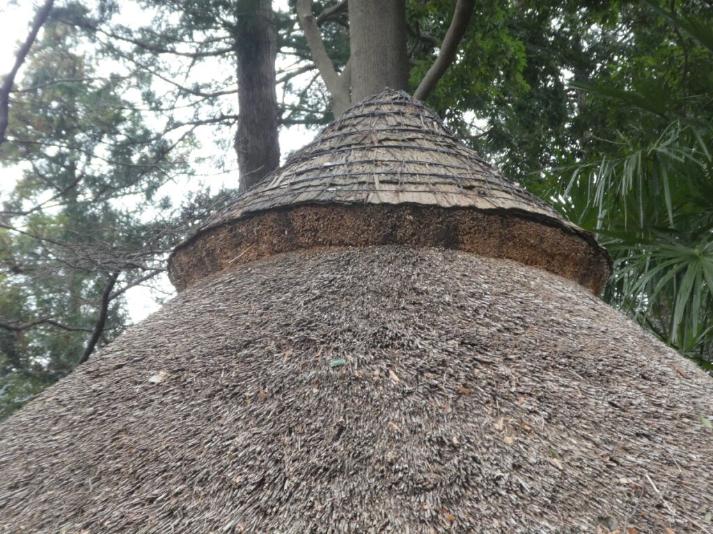 縄文の里　竪穴住居