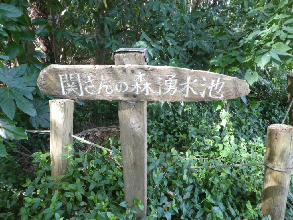 幸谷熊ノ脇湧水（関さんの森湧水地）