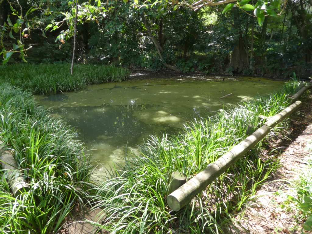 幸谷熊ノ脇湧水（関さんの森湧水地）