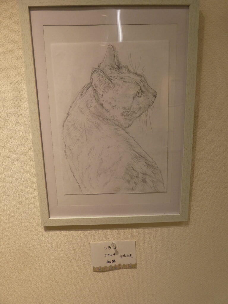 第56回松戸美術会展（2026年）