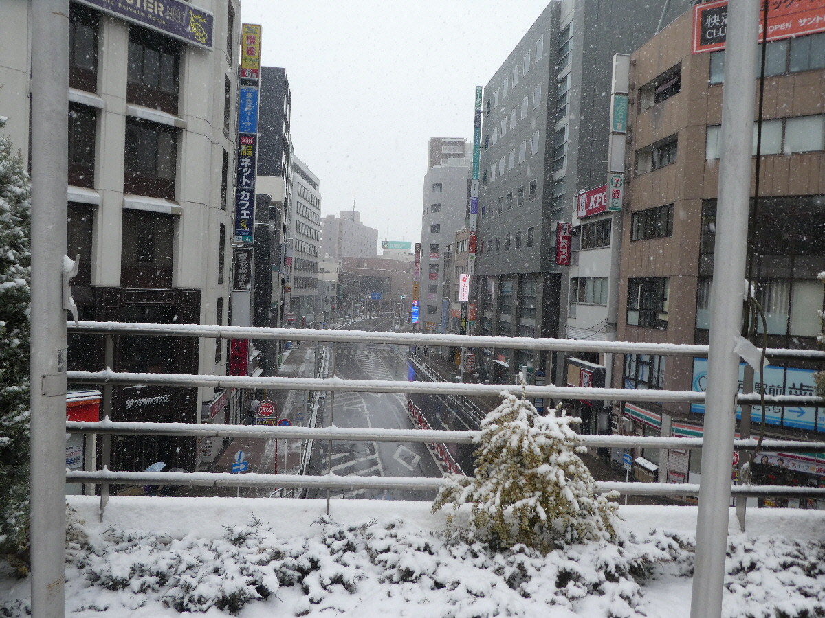 雪の松戸駅前