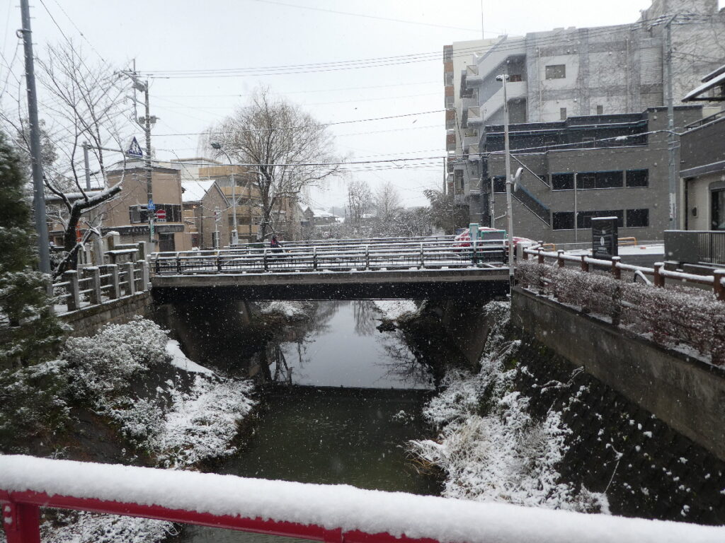 雪を纏った松戸神社