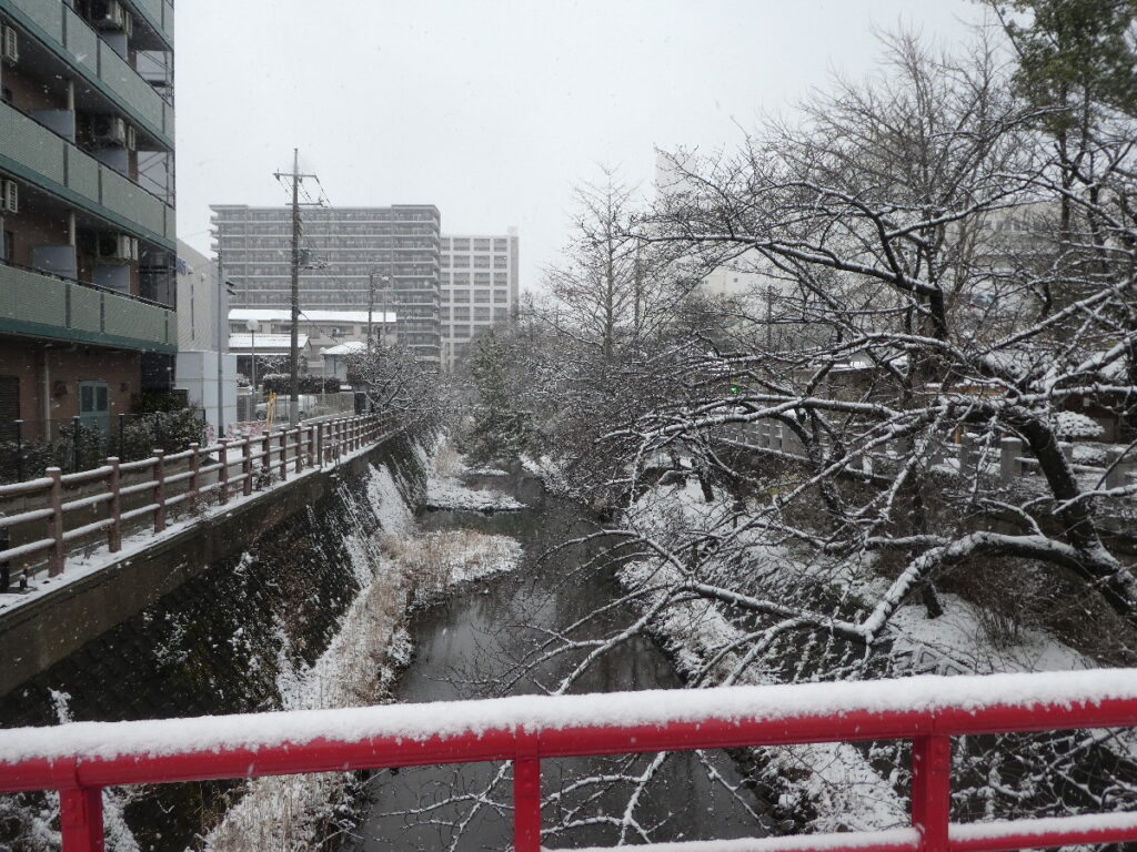 雪を纏った松戸神社