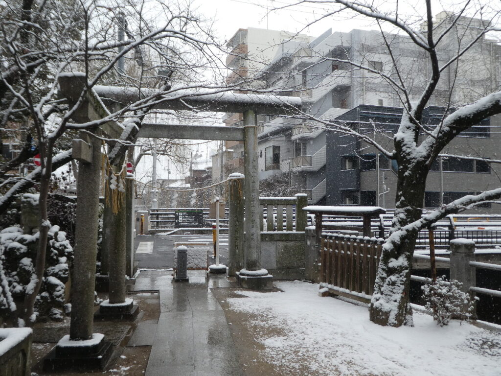 雪を纏った松戸神社