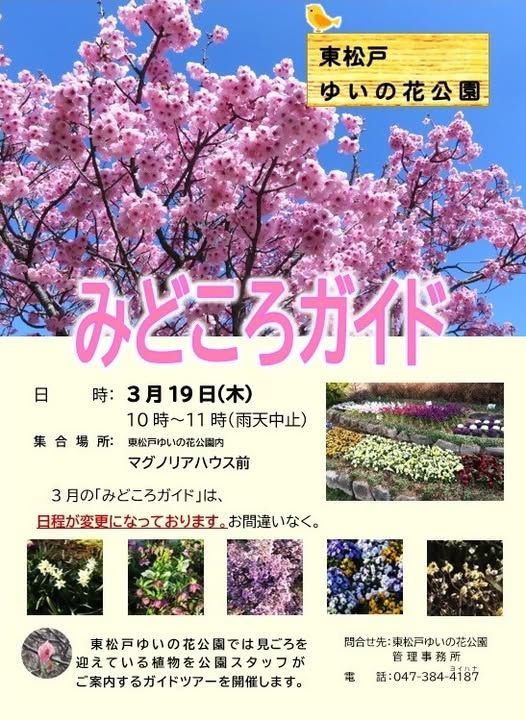 東松戸ゆいの花公園「みどころガイド」