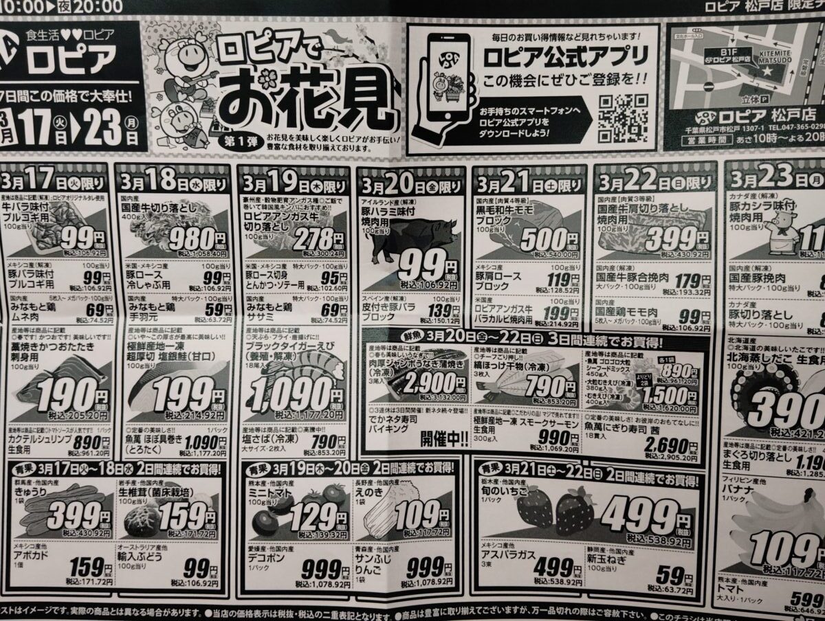 ロピア松戸店