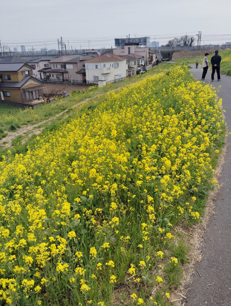 常磐線橋梁辺り（海から18.0ｋｍ標識辺り）