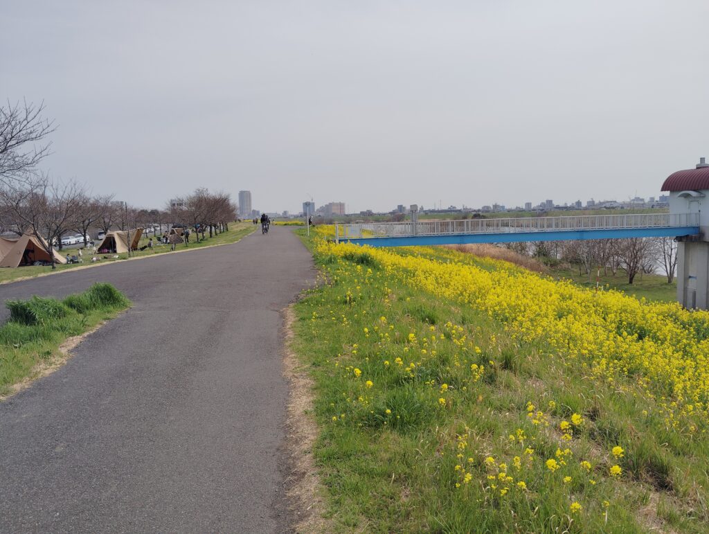 北総線橋梁下流・柳原水門付近
