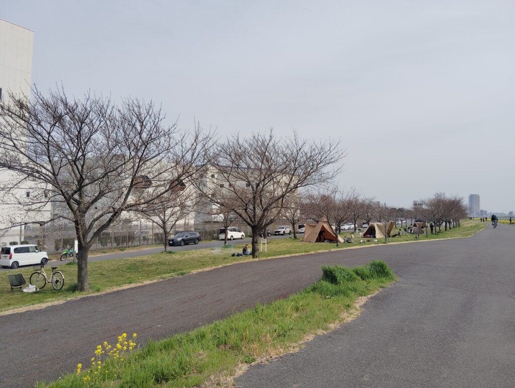 北総線橋梁下流・柳原水門付近