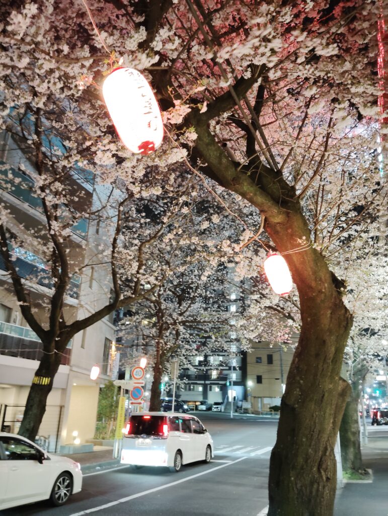 八柱さくらまつり翌日の夜桜