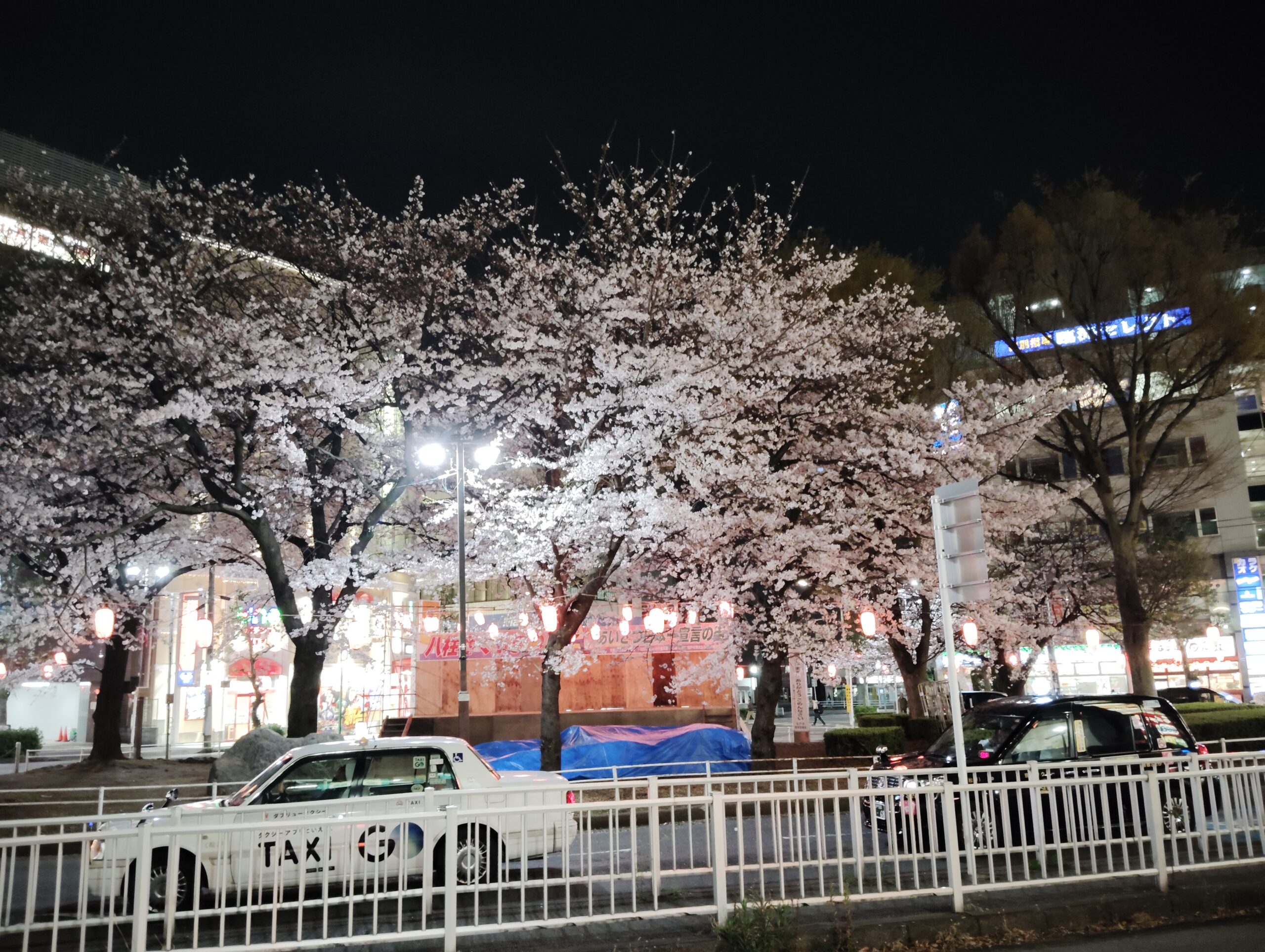八柱さくらまつり翌日の夜桜