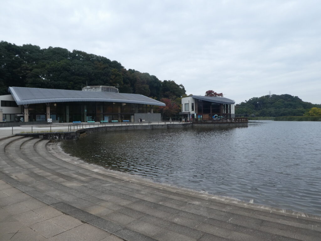 21世紀の森と広場の千駄堀池の向こうに見えるのが、パークセンター（左）とカフェテリア（右）