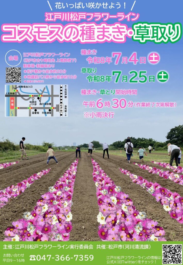 江戸川松戸フラワーライン「コスモスの種まき・草取り」
